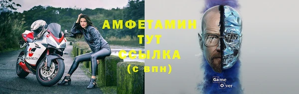 ГАЛЛЮЦИНОГЕННЫЕ ГРИБЫ Аркадак