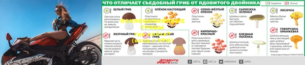 гидропоника Балабаново